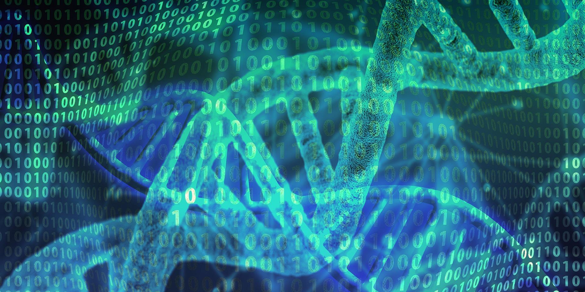 Healthy Aging and Genetics: How Your DNA Affects the Aging Journey
